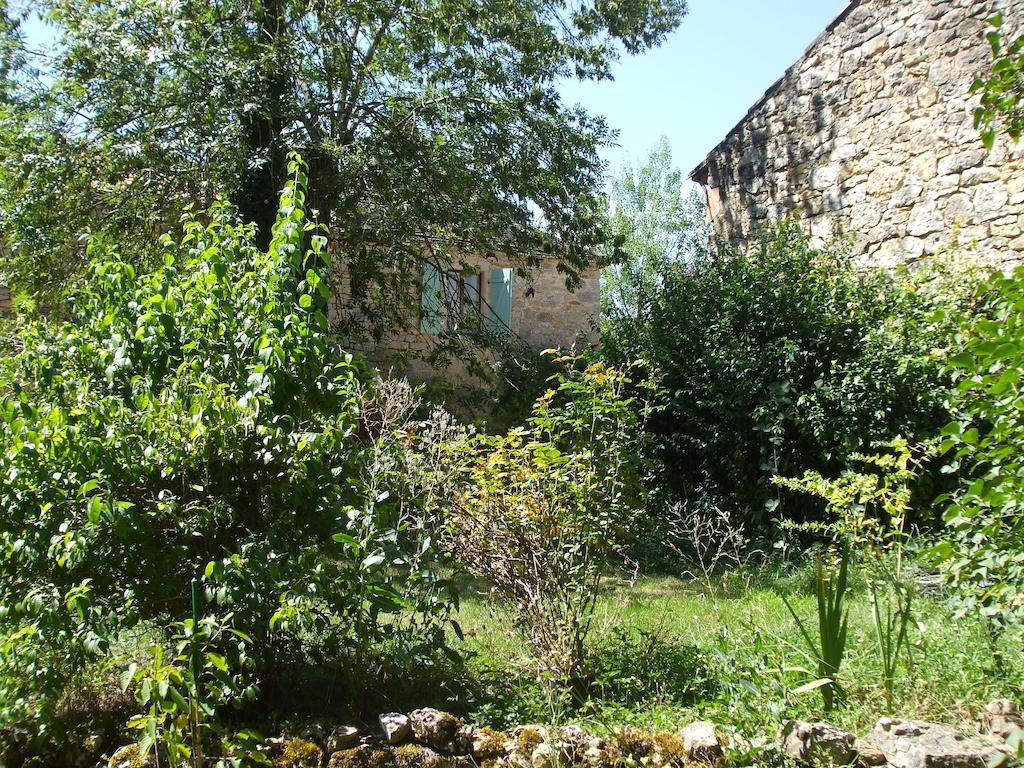 Chambres D'Hotes Les Sonatines Verfeil-sur-Seye Buitenkant foto