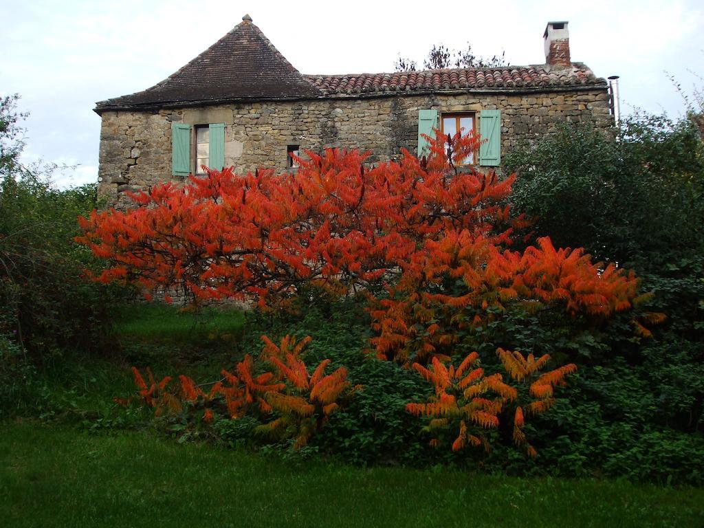 Chambres D'Hotes Les Sonatines Verfeil-sur-Seye Buitenkant foto